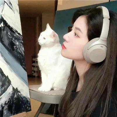 奇思妙探第三季