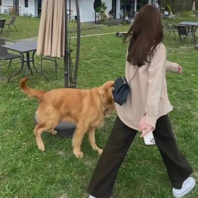 街头故事